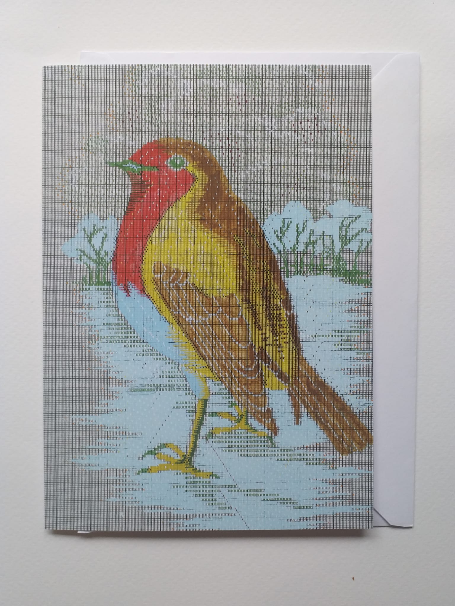Robin Card