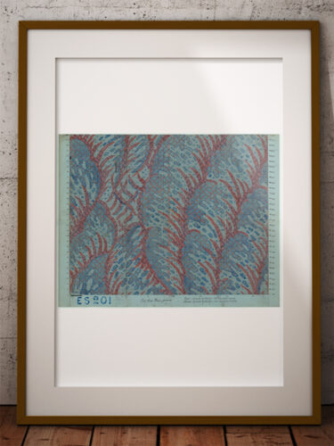 WA061-Coral